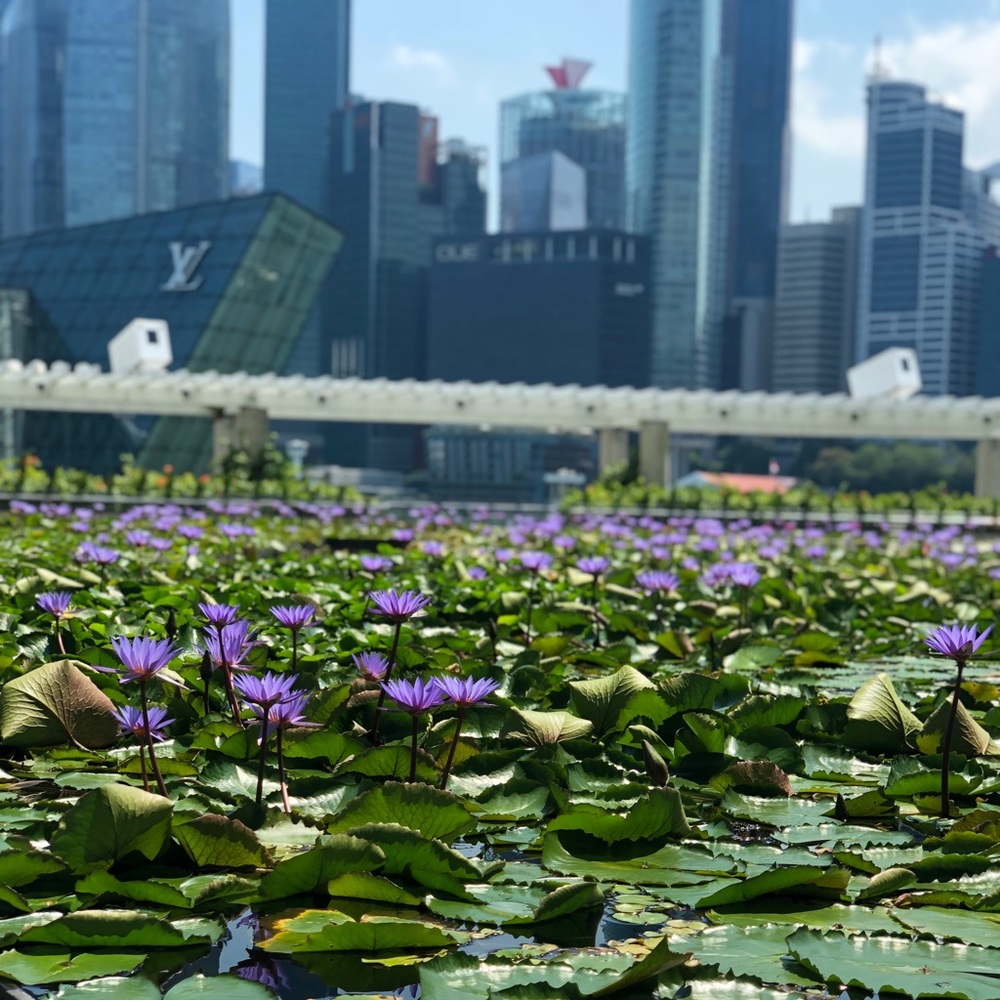 Meet your Posher, A 💝